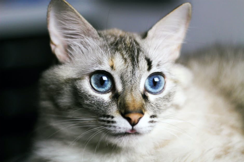  SEO-optimierte Erklärung warum blaue Augen so einzigartig sind