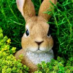 Warum haben Kaninchen rote Augen?
