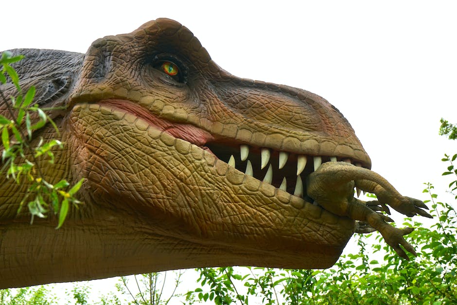  Gründe für kleine Augen beim T-Rex