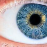 Anteil der Menschen mit blauen Augen weltweit