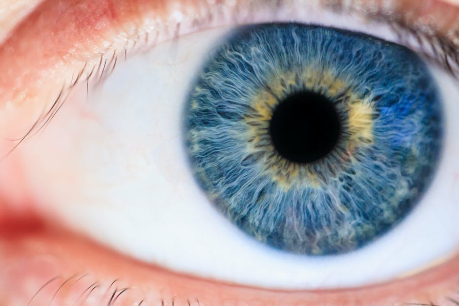 Menschen mit blau-grünen Augen Zahl